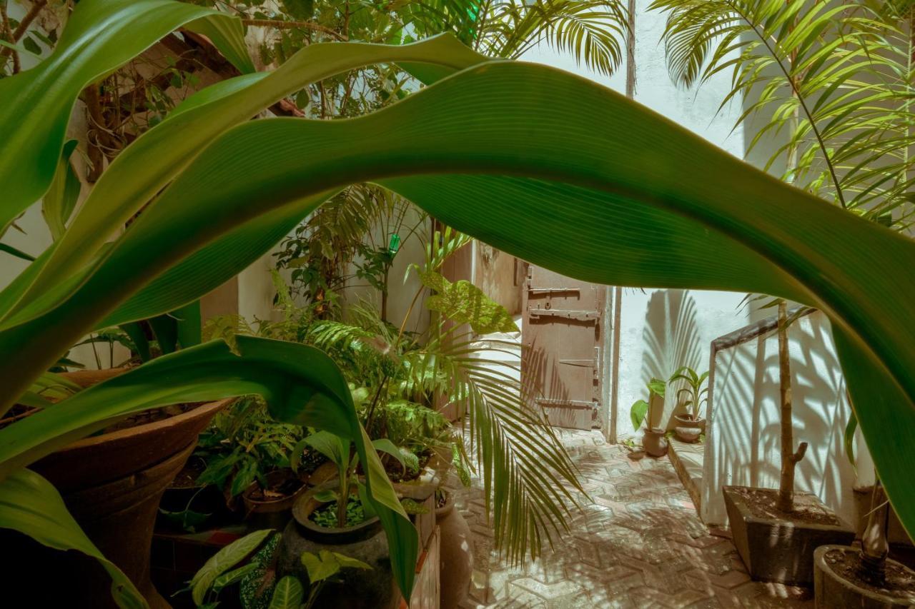 Malindi Guest House Занзибар Экстерьер фото